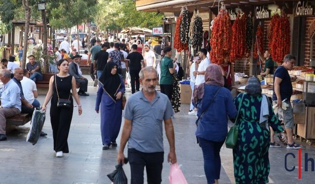 Barış İçin Adım Atılmalı: Kürt ve Türk Halkı Birlikte Huzur İstiyor