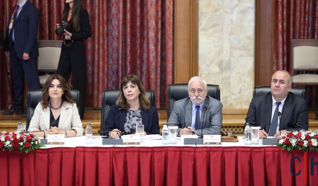 Gülistan Kılıç Koçyiğit: “Demokratik Katılım Kolektif Hakları da Kapsamalı”