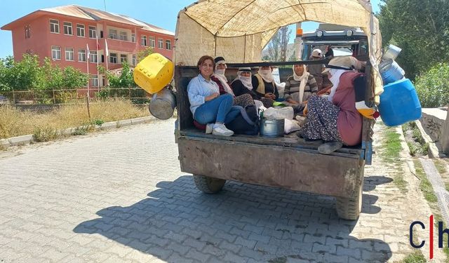 Hakkari'de Kadınlar Anlattı: Şiddet, Eşitsizlik ve Umut Bir Arada