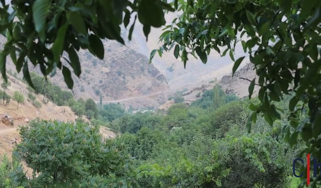 Hakkari'de Bu Köy Elektrik ve Yol Talepleri İçin Yıllardır Mücadele Ediyor