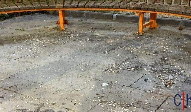 Hakkari Kent Parkı’nda Çöp Tepkisi: “Temizlik Kültür Meselesidir”