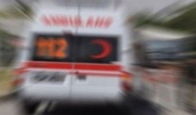 Van'da 1 anne ve 2 çocuğu öldürüldü