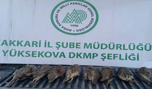 Hakkari’de keklik avlayan şahsa ceza