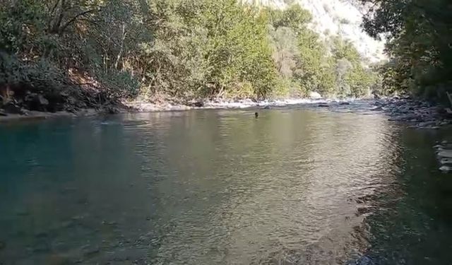Hakkari Yüksekova’da 16 Yaşındaki Neçir İbrahim Kom’dan Hâlâ Haber Yok