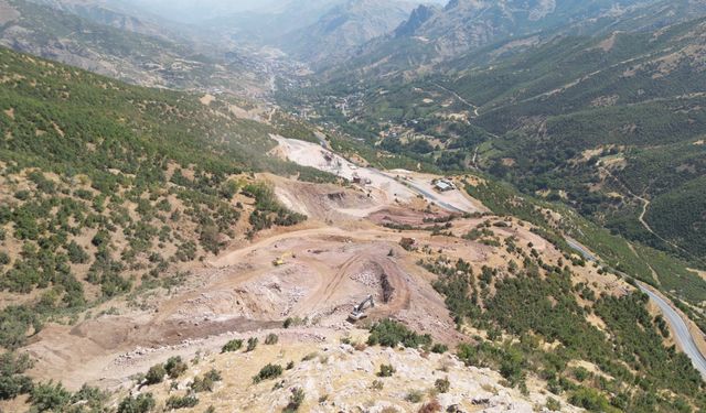 Başkan Tekin’den Altınsu’daki doğa katliamına tepki