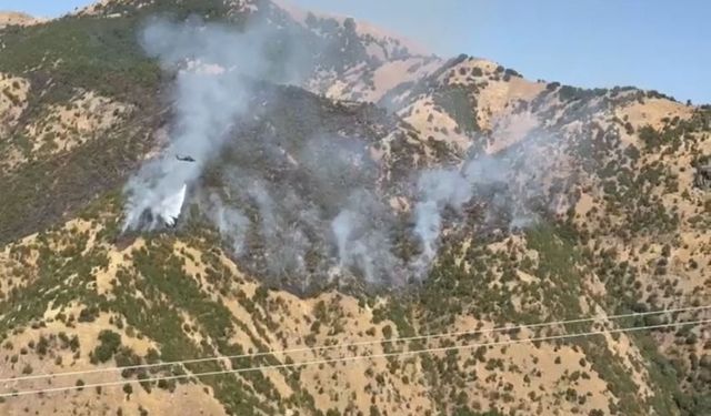 Hakkari'deki Orman Yangınında Söndürme Çalışmalarına Helikopter Desteği