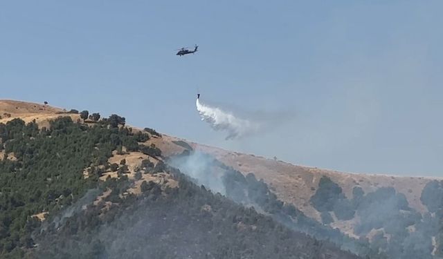 Hakkari Şemdinli’de Orman Yangını: Ekipler Havadan ve Karadan Müdahale Ediyor
