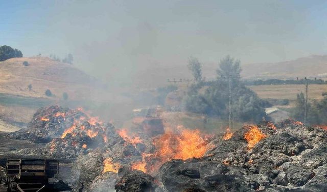 Hakkari'de Yangın: 20 Bin Bağ Ot Küle Döndü
