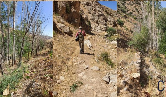 “Yüksekova’da Mezra Yol Bekliyor: Ağaçlar Kurudu, Tarlalar Sürülemiyor”