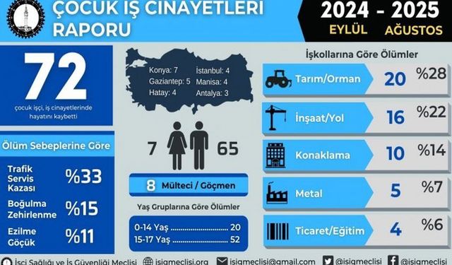 İSİG Meclisi: Son Bir Yılda 72 Çocuk İşçi Hayatını Kaybetti