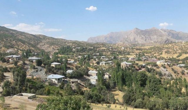 Şemdinli’de DAİŞ-Hizbullah yapılanması iddiası