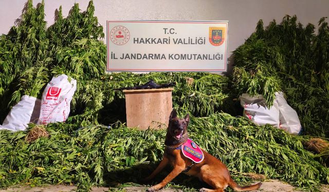 Hakkari’de Uyuşturucu Operasyonu: 1 Gözaltı, 2 Şüpheli Firarda