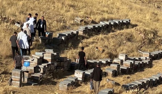 Hakkari'de Bu Köy Artık Arıcılığın Merkezi: Bal Hasadı Başladı