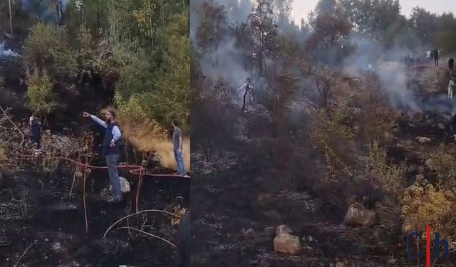 Hakkari’de Ormanlık Alanda Anız Yangını