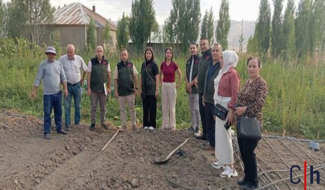 Hakkari’de Safran Yetiştiriciliği Projesi: Çiftçilere Yüzde 100 Hibe Desteği