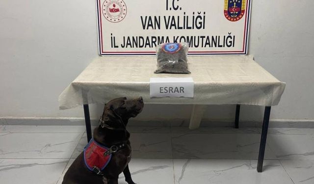 Hakkari'de 999 gram kubar esrar ele geçirildi