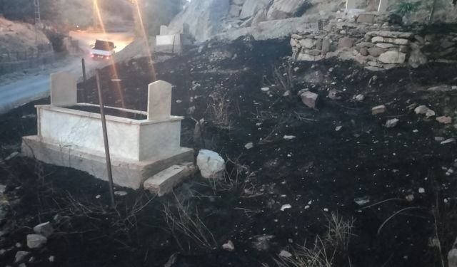 Vatandaşlar Mezarlıklar Müdürlüğü Kurulmasını Talep Ediyor