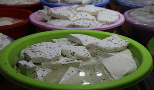 Otlu Peynirinde Üretim Krizi: Fiyatlar 700 TL’ye Dayandı