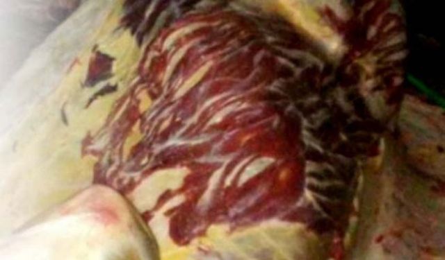 Bu ilde At veya Eşek Eti Satıldığı Tespit Edildi