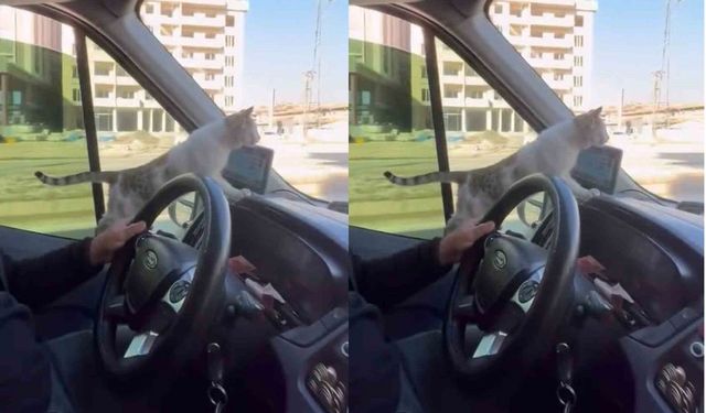 Hakkari'de Şoförden Yürek Isıtan Hareket