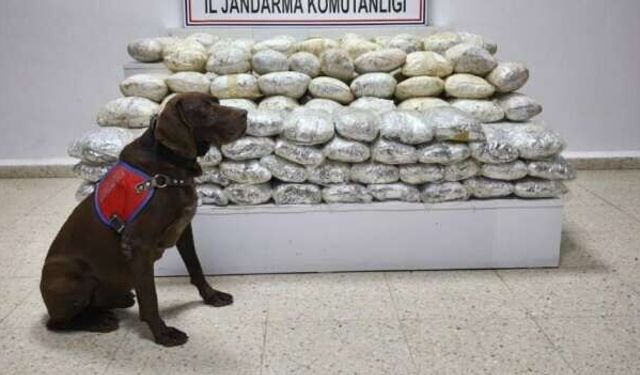 Başkale'de 60 kilo uyuşturucu ele geçirildi