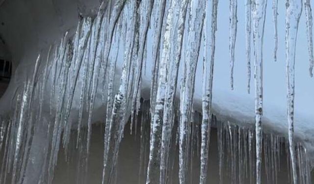 Yüksekova’da Dondurucu Soğuk Alarmı: Kar, Buz ve Sis Hayatı Felç Etti