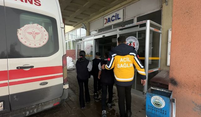 Hakkari'de Yerli Malı Etkinliğinde 40 Öğrenci Hastanelik Oldu