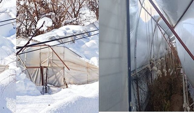 Hakkari’de Yoğun Kar Yağışı Seraları Çökertti