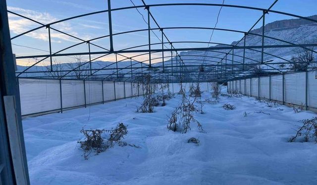 Hakkari'de Yoğun Kar Yağışı Seraları Çökertti: 38 Sera Zarar Gördü