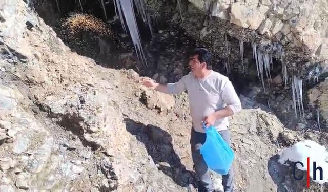 Doğaseverler Karla Mücadele Eden Keklikleri Unutmadı