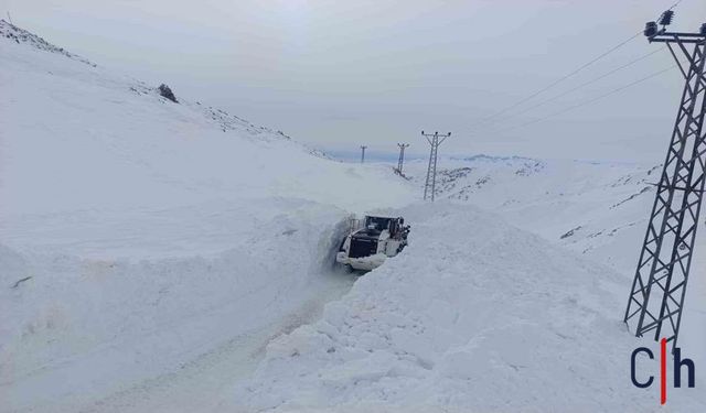 Hakkari'de Çığ Yola İndi, Ekipler Seferber Oldu