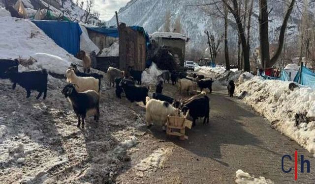 Köye Düşen Dev Kayalar Dronla Görüntülendi