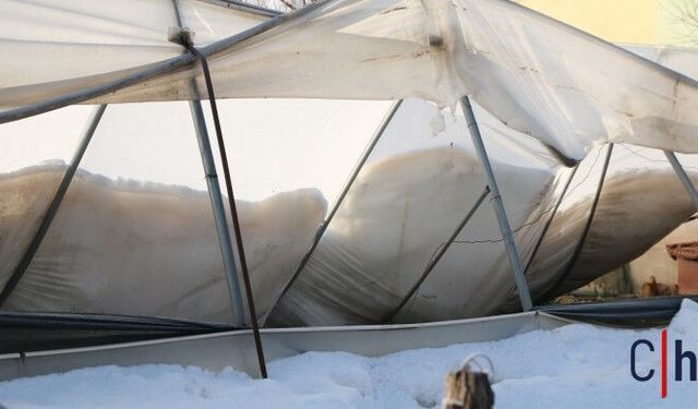 Hakkari’de Kar Felaketi: Derecik’te Seralar Çöktü, Üreticiye 15 Bin TL Destek