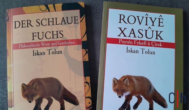 Yüreği Kadar Yer Kaplayan Masallar: Rovîyê Xasûk Çocuklara ve Gençlere Felsefeyle Sesleniyor