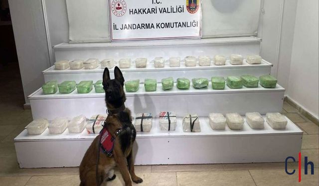 Hakkari’de Zehir Tacirlerine Darbe: 1 Gözaltı