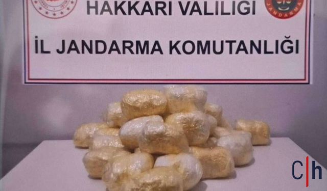 Hakkari’de TIR’da 15 Kilo Metamfetamin Ele Geçirildi