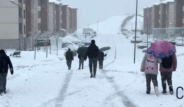 Nisan Ortasında Kış Geri Döndü: Yüksekova Beyaza Büründü