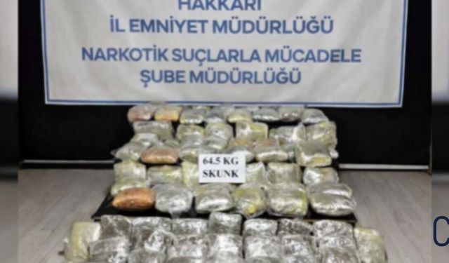 Hakkâri’de Dev Narkotik Operasyonu: 64,5 Kilo Skunk Ele Geçirildi