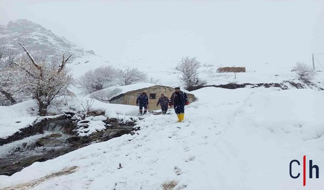 Hakkari’de Kar ve Yağışa Rağmen Çalışmalar Sürüyor