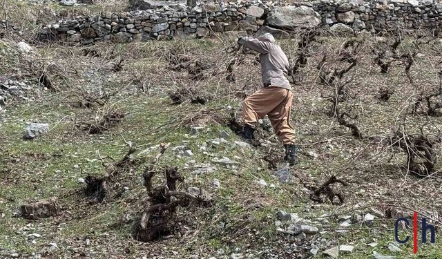 Aynı Gün İki Mevsim: Zirvede Kar, Köyde Bahar