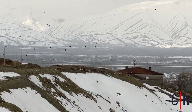 Yüksekova’da Şiddetli Rüzgar ve Sağanak Kuşları Zorladı