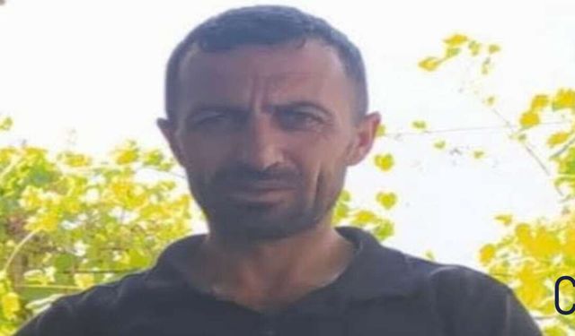 Hakkarili Timur Ailesinin Acı Günü
