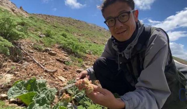 Japon Gezgin Masato Kano, Yüksekova’nın Doğasına Hayran Kaldı