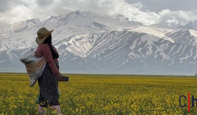 Cilo Dağı’nın Eteklerinde Bahar: Yüksekova’da İki Mevsim Bir Arada