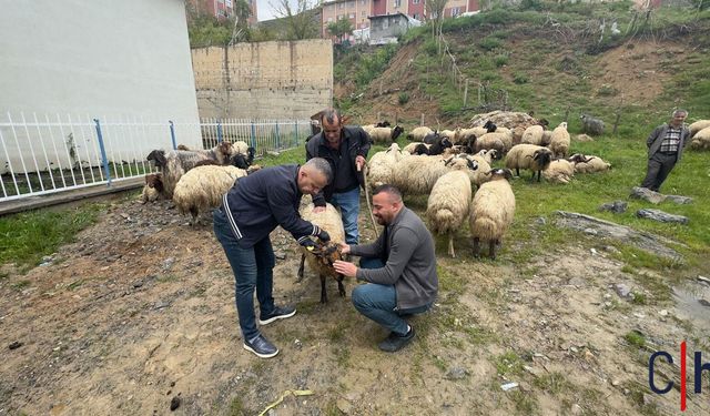Hakkari’de Kurban Pazarına Sıkı Veteriner Denetimi