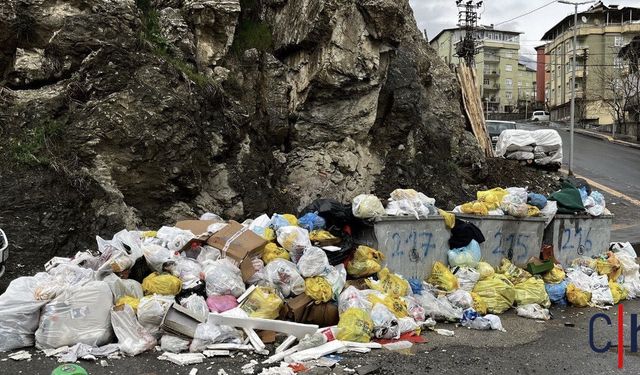 Hakkari’de Çöp Krizi: ÖHD’den Savcılığa Suç Duyurusu