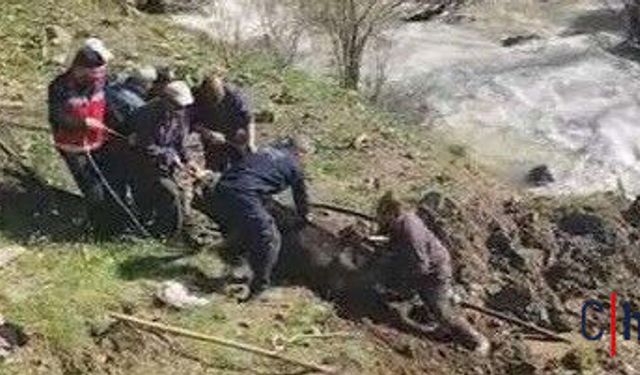 Otluca’da Bataklığa Saplanan İnek Kurtarıldı