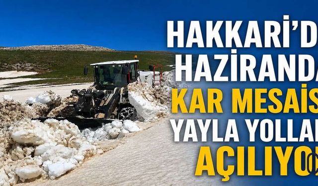 Hakkâri Yaylalarında Yaz Ortasında Kar Mesaisi