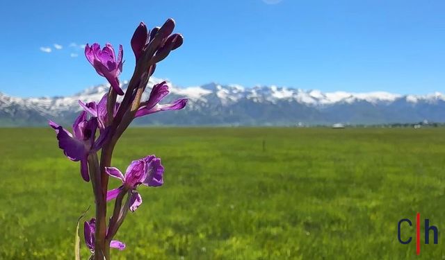 Hakkari'de Aynı Anda Yaz ve Kış Yaşanıyor
