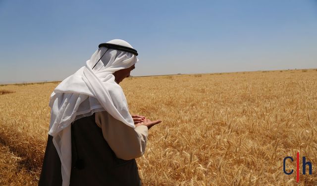 Tefecilik Tarım Kentlerinde Alarm Veriyor: Çiftçi Toprağını Satıyor, Aileler Göç Ediyor